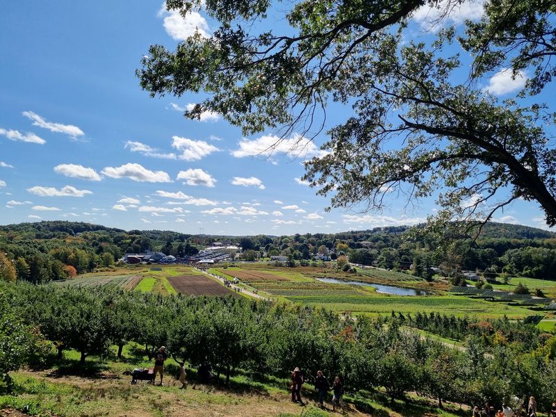 A Massachusetts Bakery With an Orchard Outside