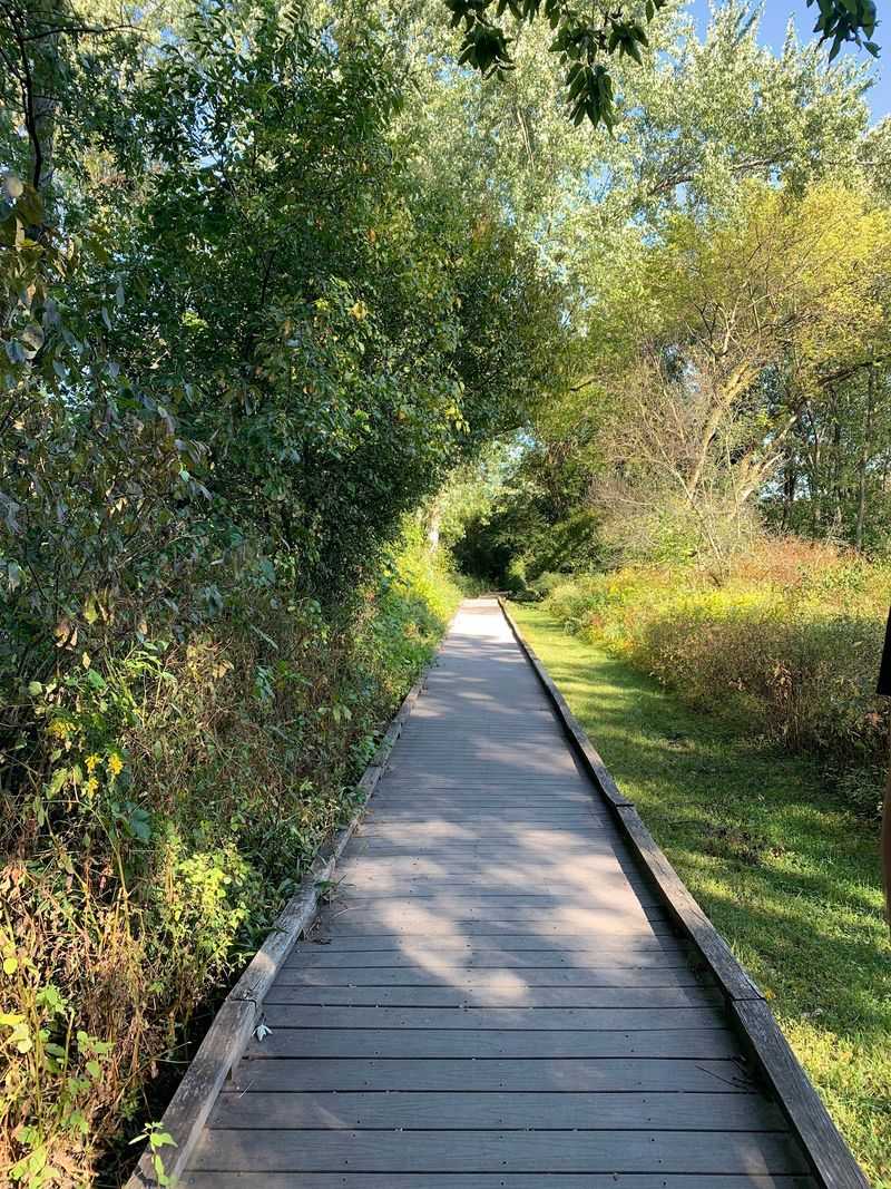 A Massachusetts Nature Escape Inside Boston’s City Limits