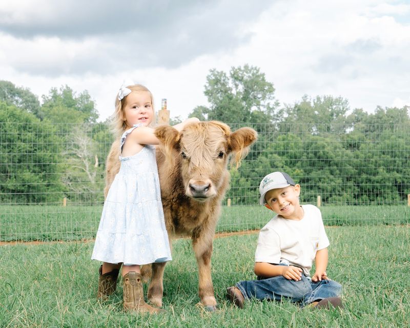 A Moo-ving Reason to Head to Asheboro