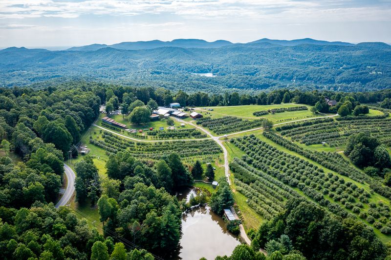 A Mountaintop Farm in Flat Rock