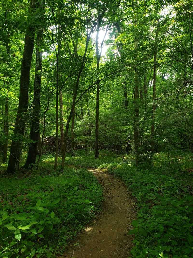 A Park That Feels Tucked Away