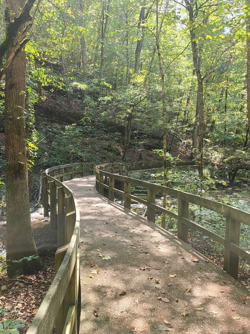 A Paved Path With Wide Appeal