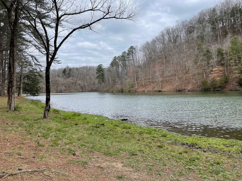 A Peaceful Lake Made for Paddling, Fishing and Easy Afternoons A Peaceful Lake Made for Paddling, Fishing and Easy Afternoons