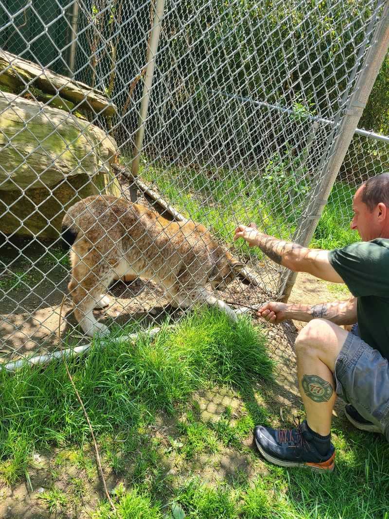 A Personal Outing for More Than Families