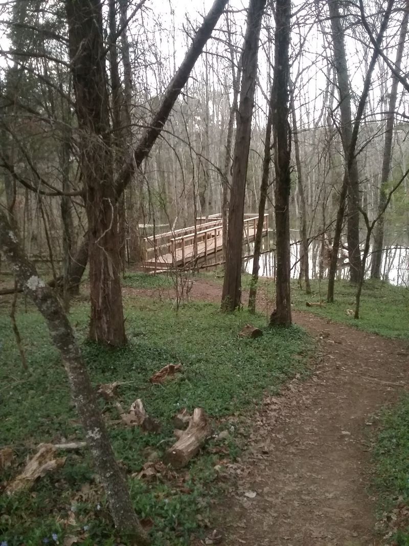 A Quiet Forest Path That Leads Back to the 1800s