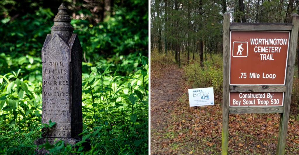 A Quiet Trail in Tennessee Leads to a Hidden 1800s Cemetery Time Almost Forgot