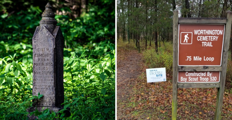 A Quiet Trail in Tennessee Leads to a Hidden 1800s Cemetery Time Almost Forgot
