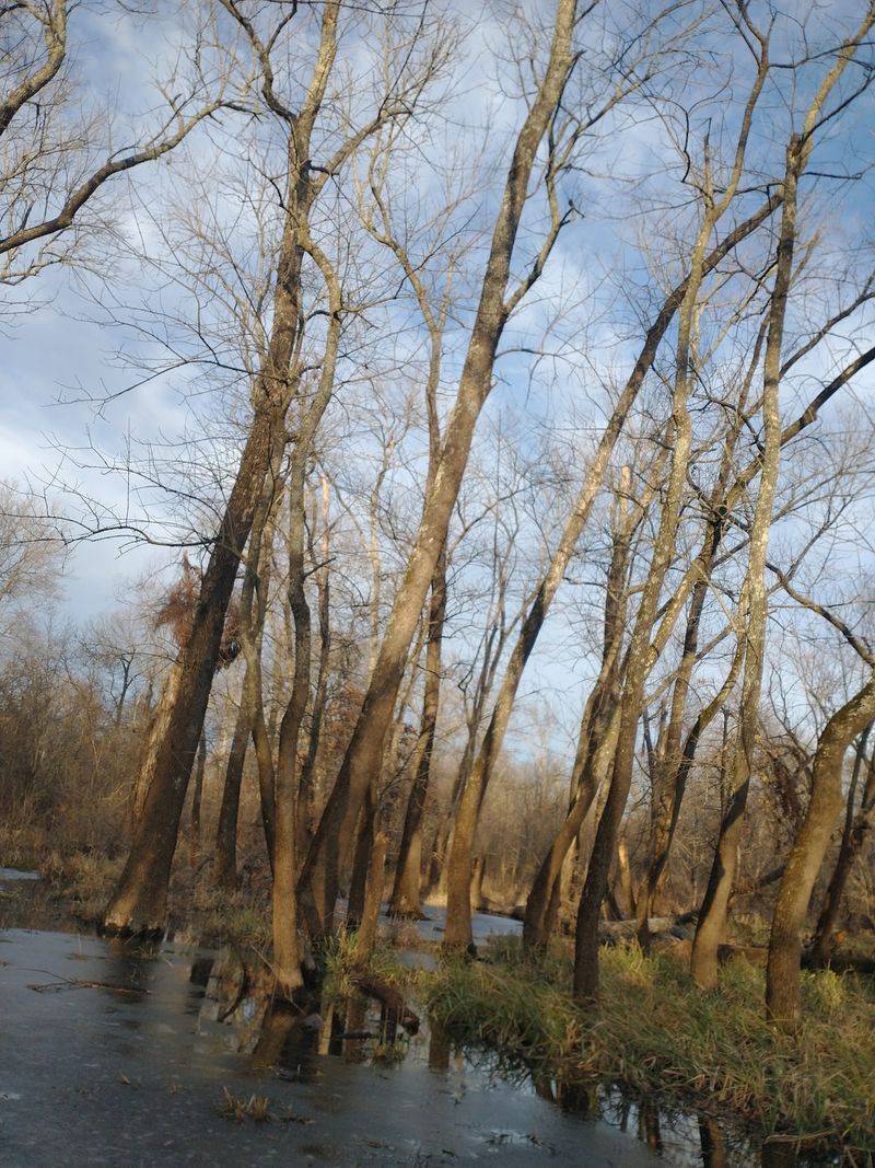 A Refuge Named for a River A Refuge Named for a River