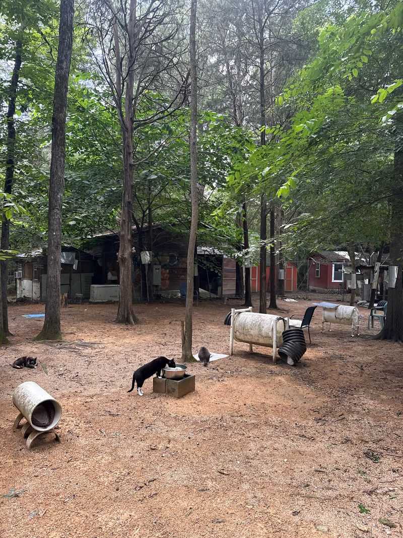 A Refuge Tucked Into Chatham County