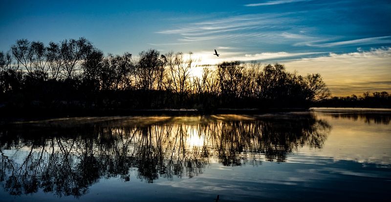 A River Scene That Slows You Down