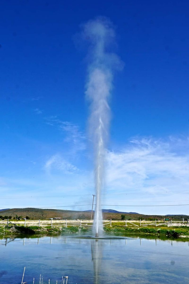 A Roadside Surprise on US-395