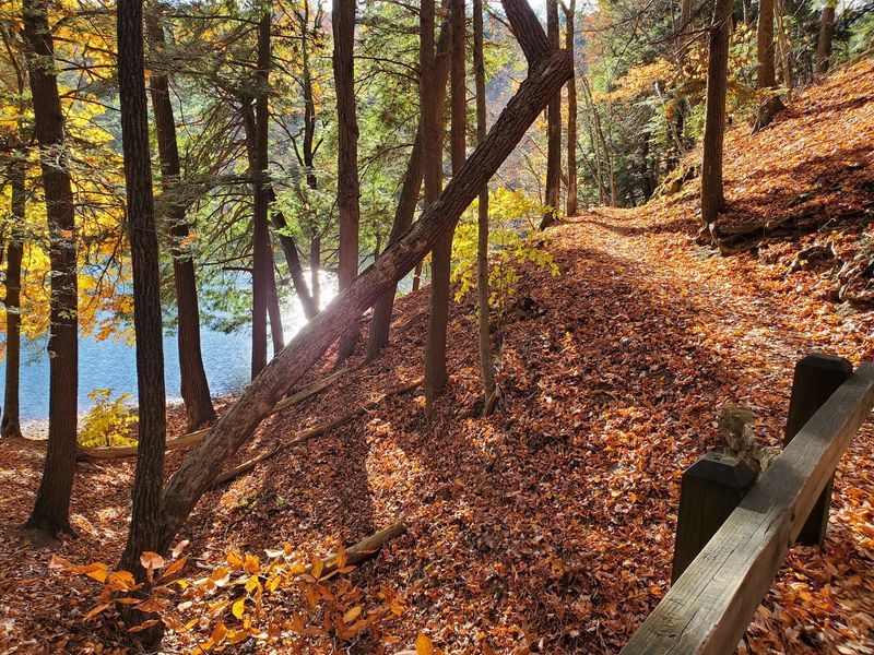 A Simple Plan for Your First Visit