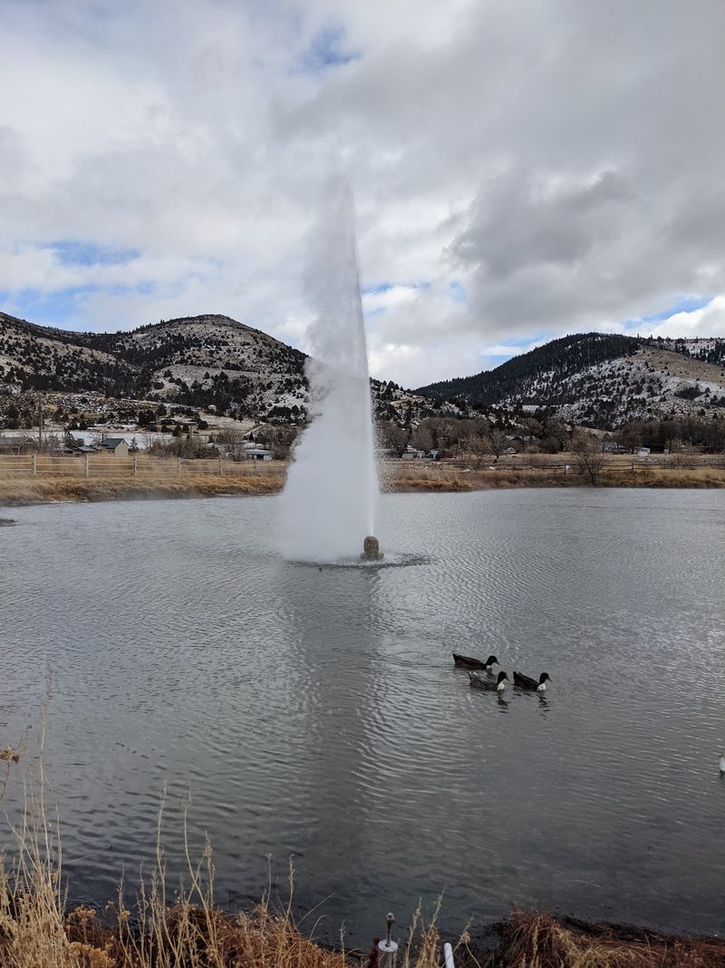 A Small Geyser Worth Protecting