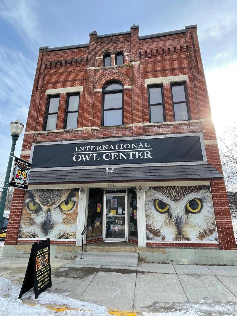 A Small Owl Center on Houston's Cedar Street A Small Owl Center on Houston's Cedar Street