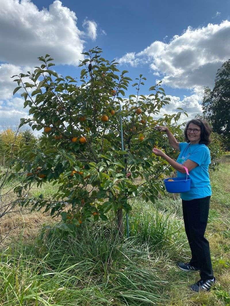 A Specialty Orchard on Frank Perry Road A Specialty Orchard on Frank Perry Road