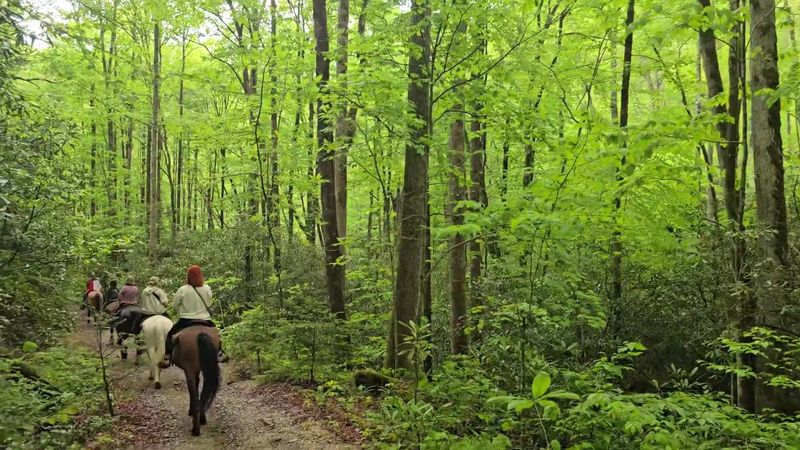A Stable Tucked Inside the Smokies