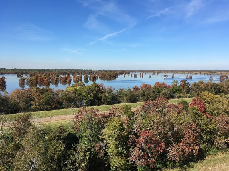 A Wartime Reservoir Turned Wildlife Haven