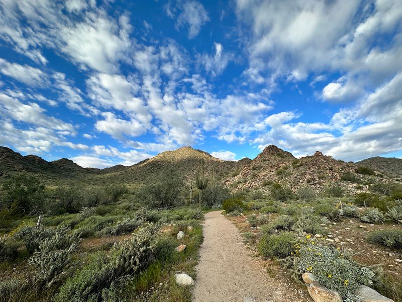 A West Valley Park Hiding in Plain Sight A West Valley Park Hiding in Plain Sight