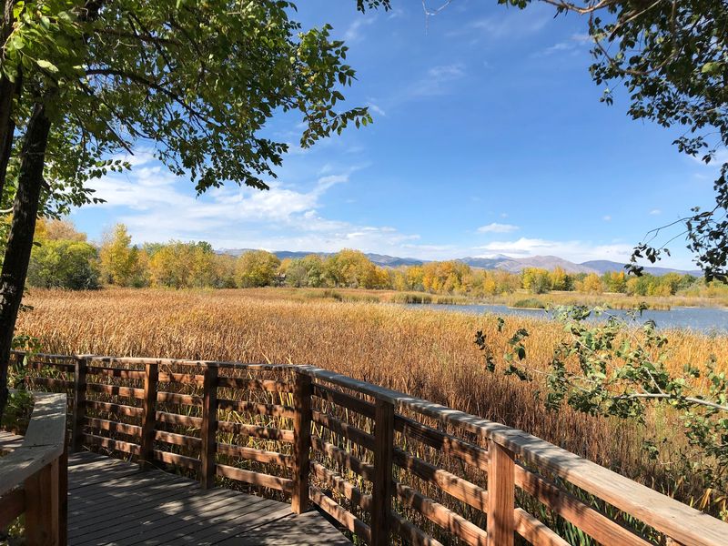 A Wetland Tucked Off 75th Street