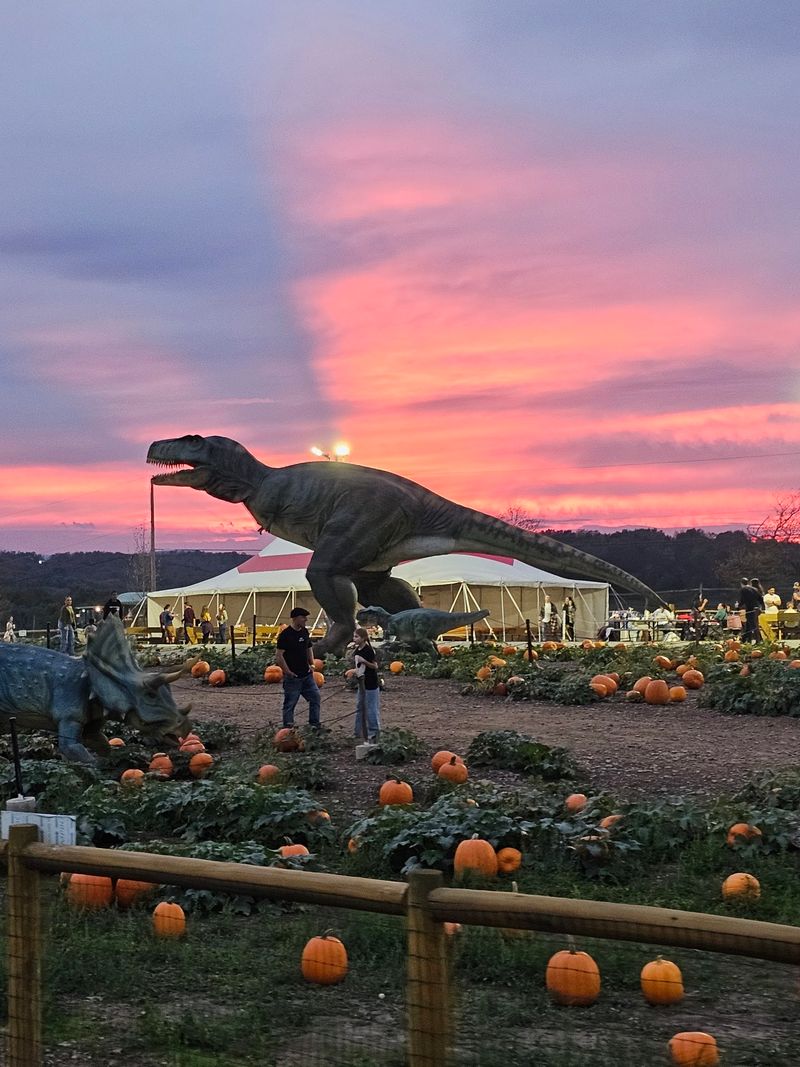 After Sunset, The Glowing Pumpkin Trail Steals The Night
