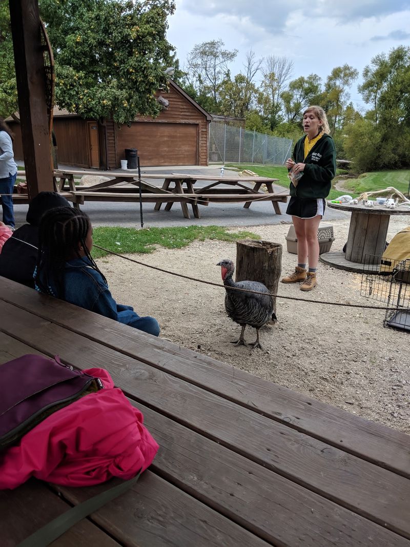 Private Tours, Birthday Parties, and Overnight Camping