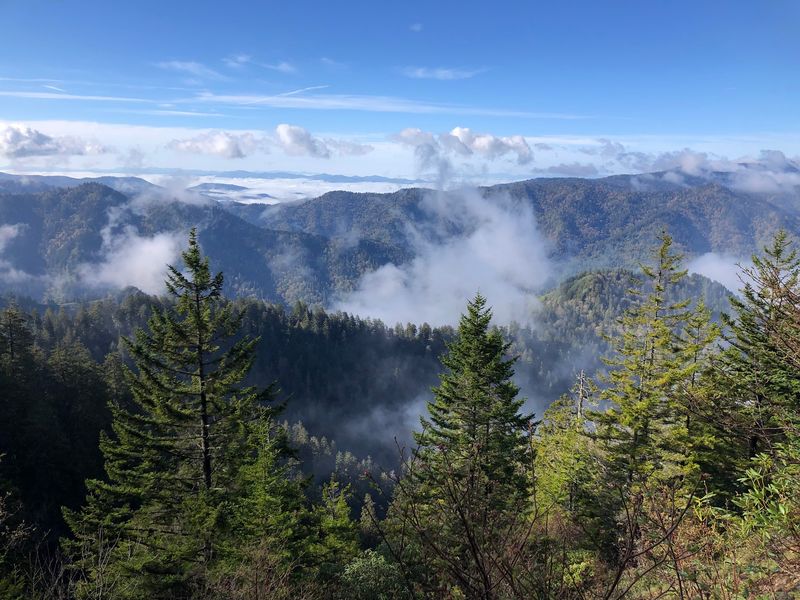 Alum Cave Trail to Mount LeConte Alum Cave Trail to Mount LeConte