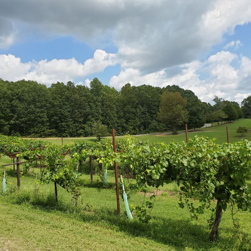Amber Falls Winery & Cellars in Hampshire Amber Falls Winery & Cellars in Hampshire