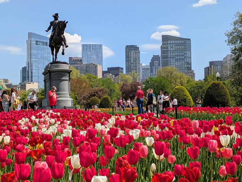 America’s First Public Botanical Garden Was Established in Boston
