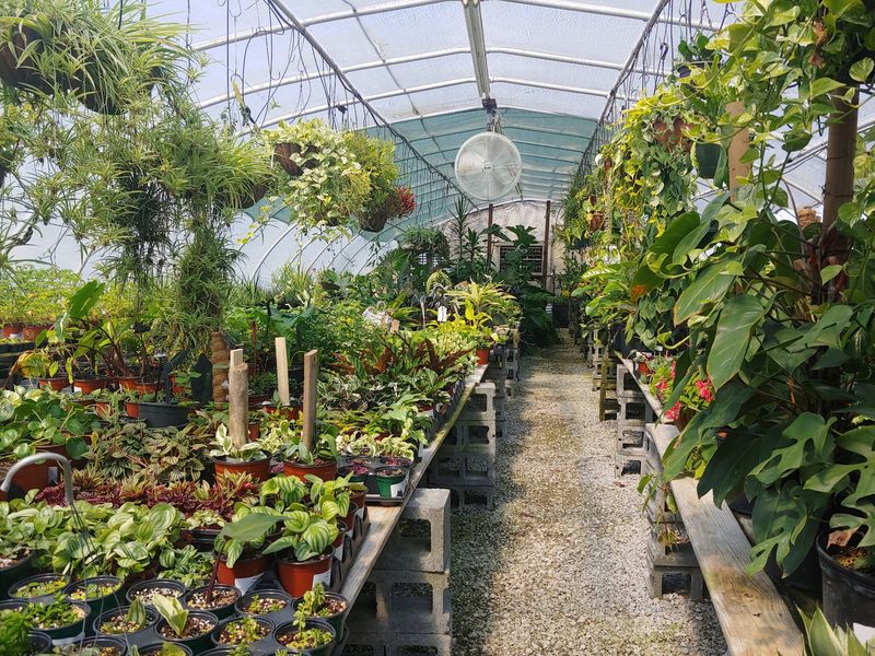 America's Gardens, Chattanooga, TN