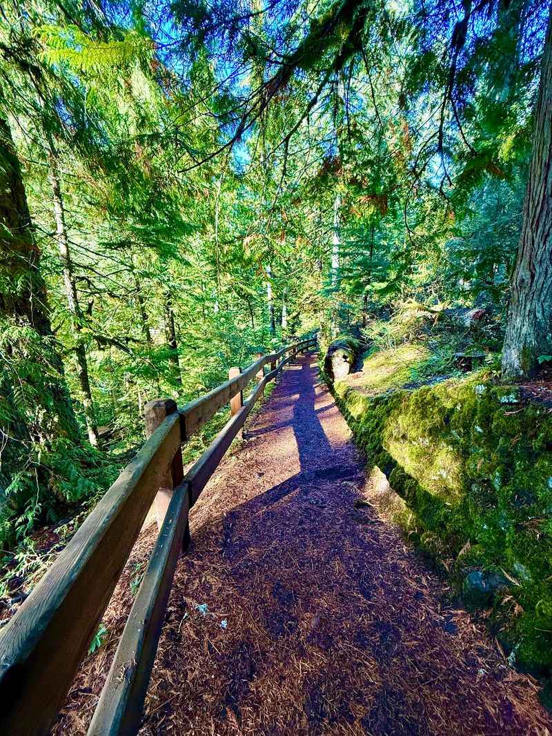 An Easy Trail for Almost Everyone