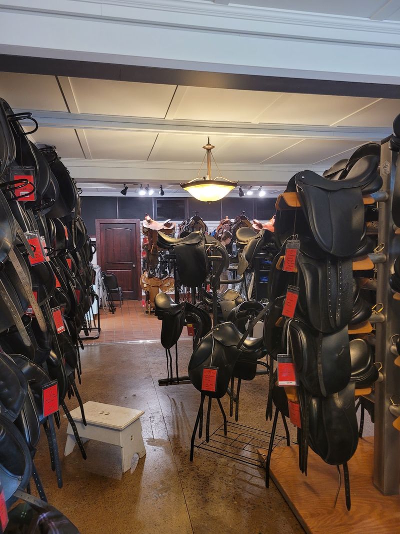 An Entire Section for Saddles An Entire Section for Saddles