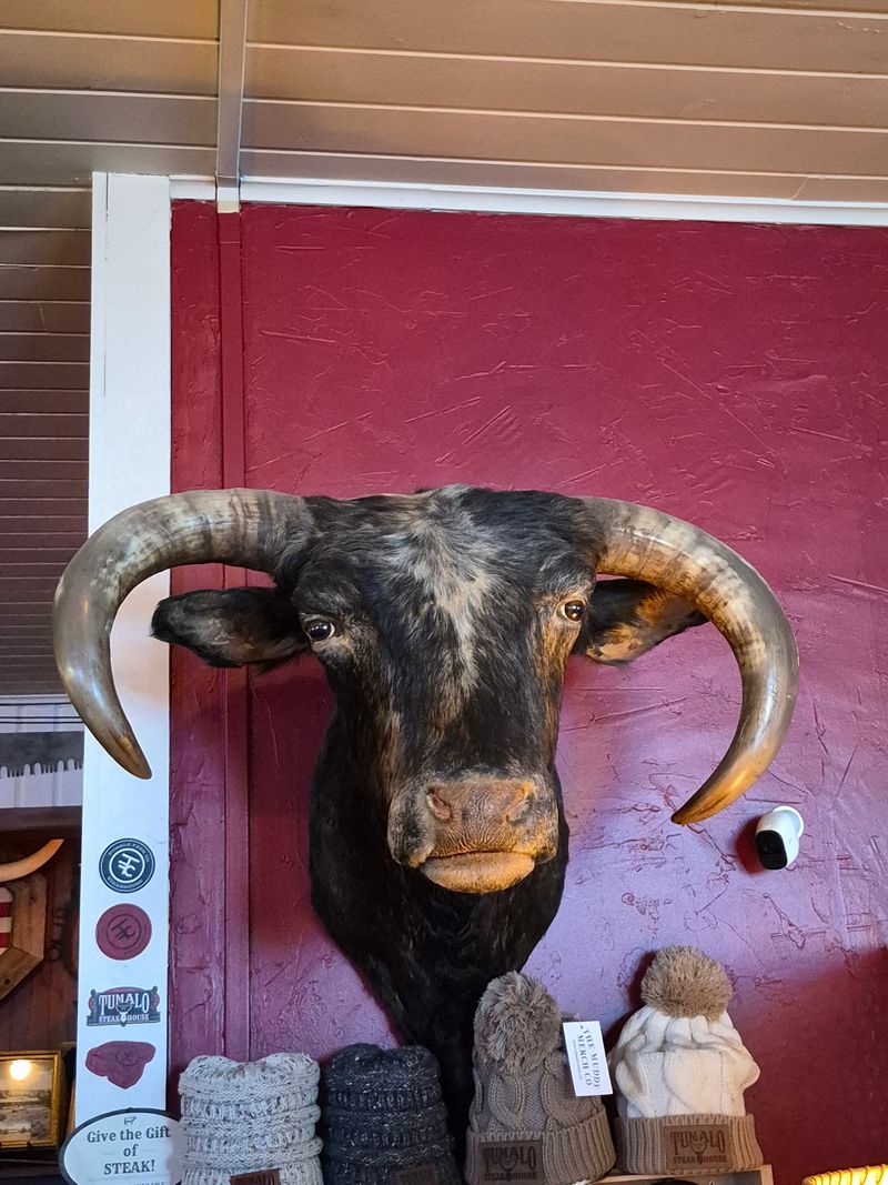 Antiques, Old Phones, and Frontier Decor