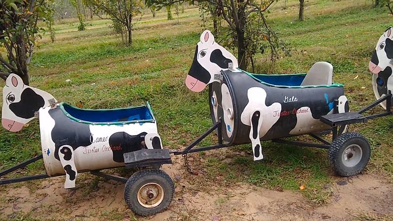 Apple Cannons, Cow Trains, and Jump Pads