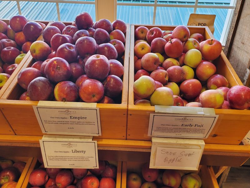 Apple Picking Gives the Bakery Its Backstory