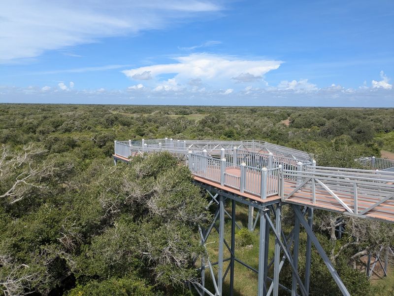 Aransas National Wildlife Refuge Aransas National Wildlife Refuge