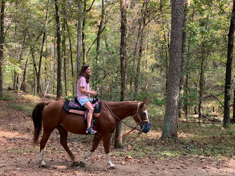 Arkansas Riding Stables, Hot Springs National Park, AR