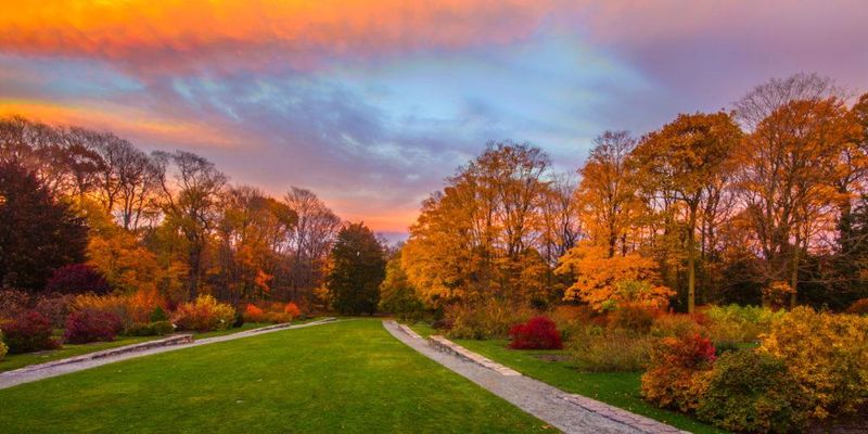 Arnold Arboretum's Ponds and Meadow Road Arnold Arboretum's Ponds and Meadow Road