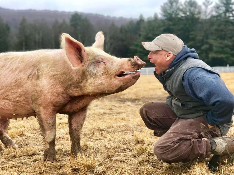 Arthur's Acres Animal Sanctuary, Parksville, NY
