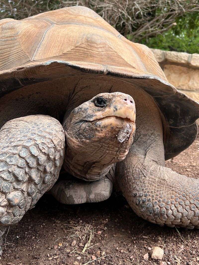 Austin Zoo