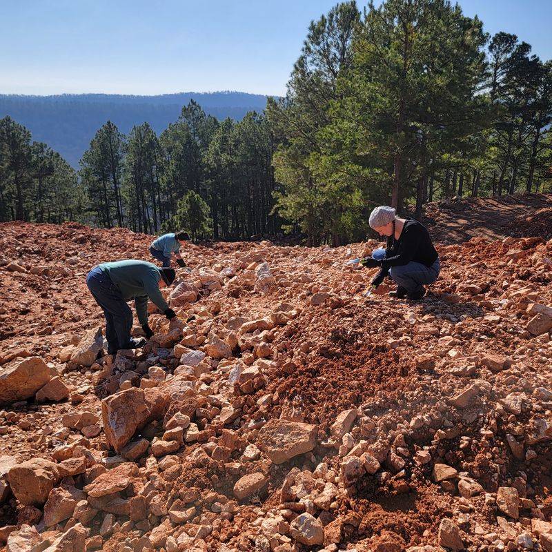 Avant Mining Fisher Mountain Rock Shop and Public Dig, Mt Ida, AR