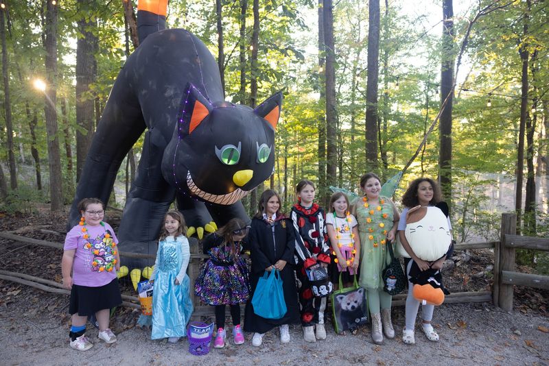 BOO! at the Zoo in Knoxville BOO! at the Zoo in Knoxville