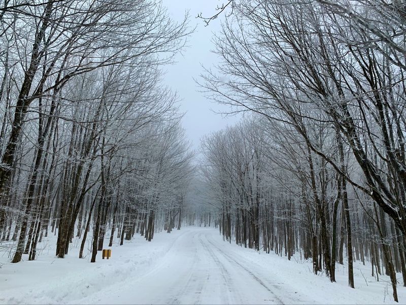 Back Roads Worth the Detour Back Roads Worth the Detour