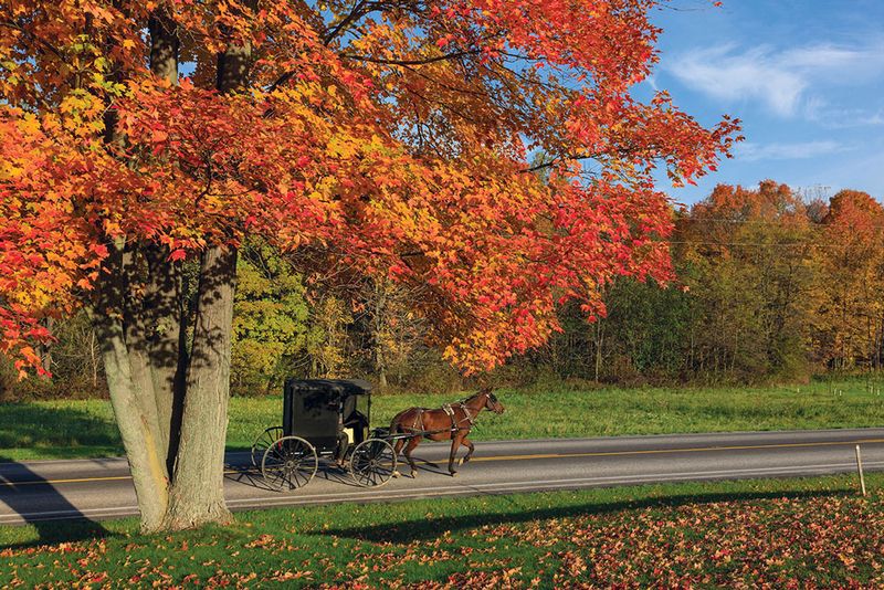 Backroads Turn Into A Color Show Every Autumn