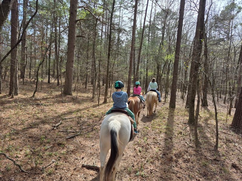 Barnyard Friends & Stables, Morrilton, AR