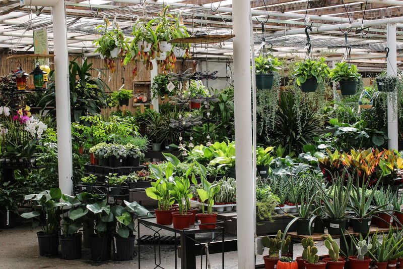 Bates Nursery and Garden Center, Nashville, TN