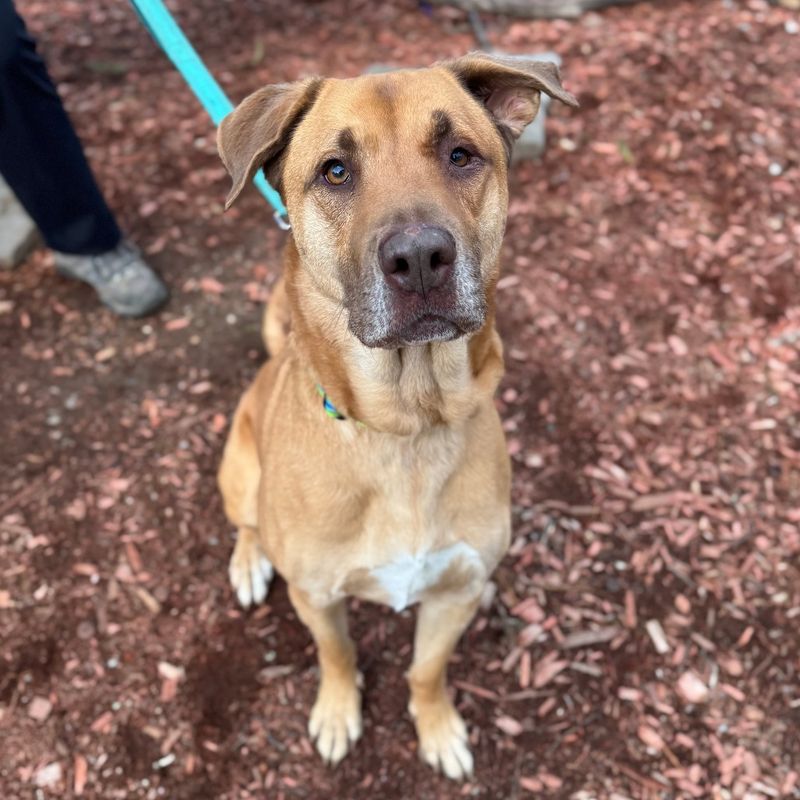 Baypath Humane Society - Hopkinton Baypath Humane Society - Hopkinton