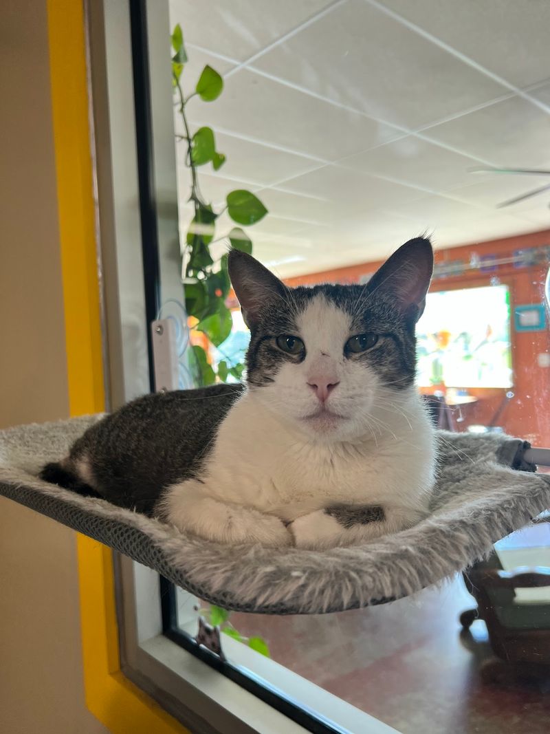 Beans and Whiskers LLC Beans and Whiskers LLC