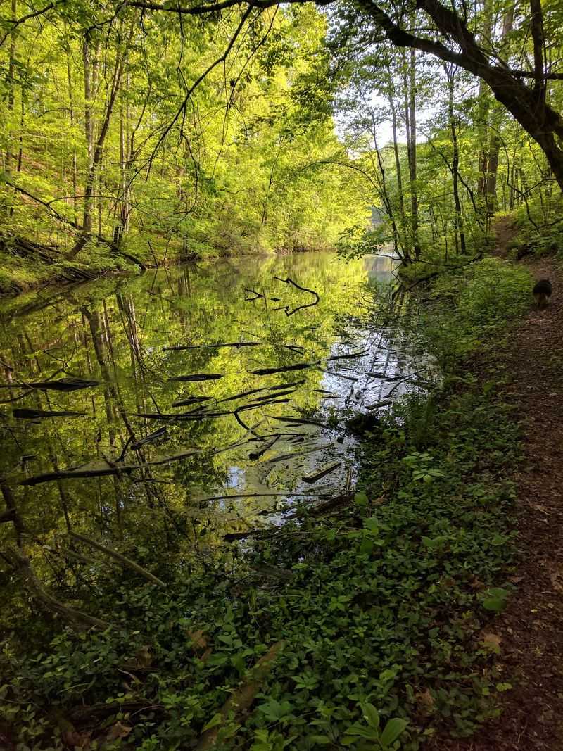 Before The Reservoir, The Little Tennessee River Ran Wild