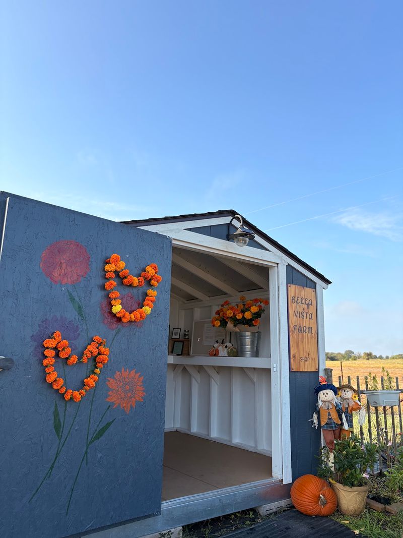 Bella Vista Flower Farm Bella Vista Flower Farm