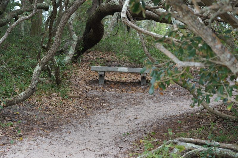 Benches, Breathers, and an Easy Pace